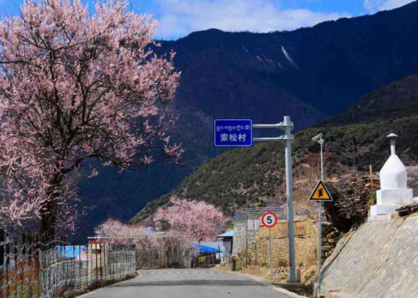 青藏线住一晚到底要花多少钱？我算完这笔账沉默了-第1张图片-四川省中国青年旅行社